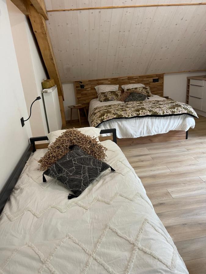 Chambres D'Hotes Les Chambres D'Elsa Альб'є-Монрон Екстер'єр фото